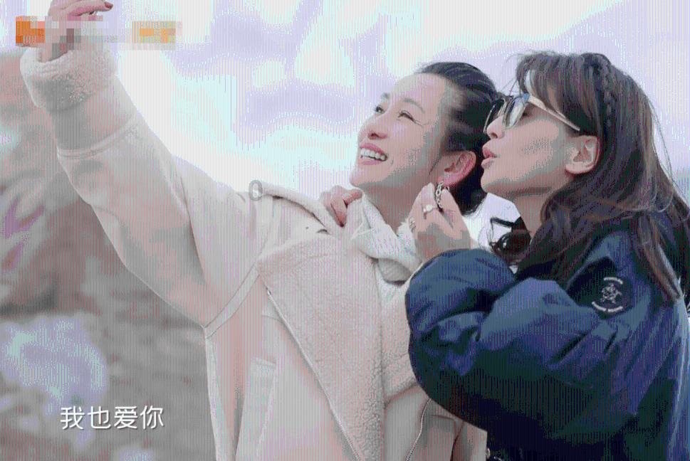 探索i博导官网登录入口——最新动态与讨论
